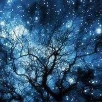 Mehmet Can Karademir