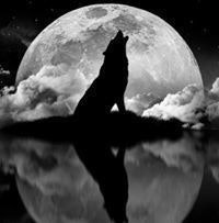 Richard Abi Chahla Xçl