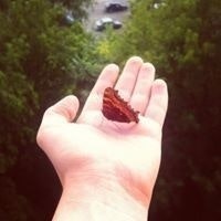 Павел Князев