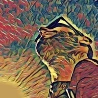 Silvio Rico Mouriño