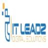 it leadz Services