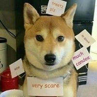 Nguyễn Đăng Sơn