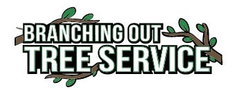 Tree Cutting & Trimming Baldwin