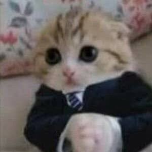 ◤✠◢ Vascaíno Nato ◤✠◢