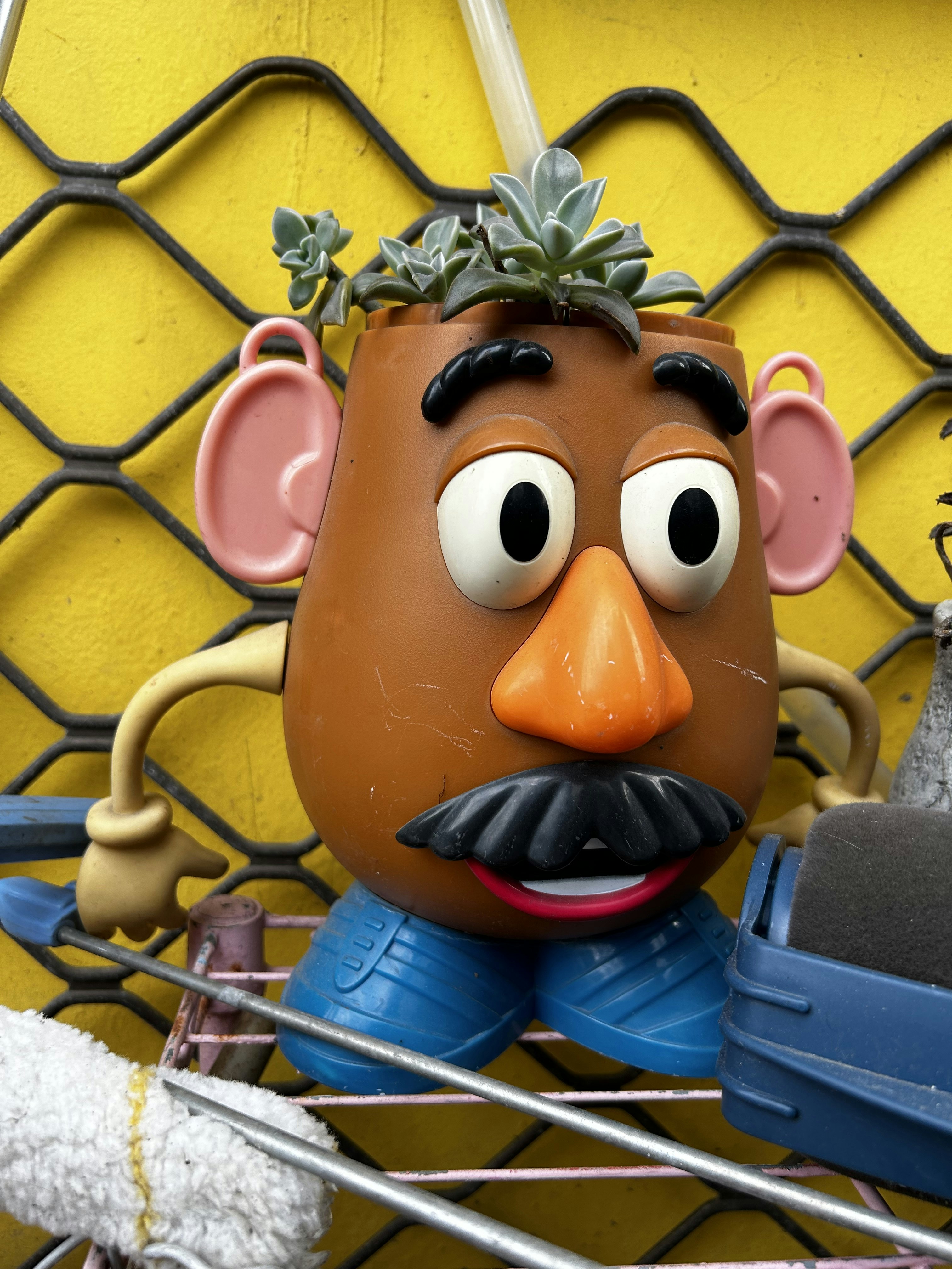PotatoHead