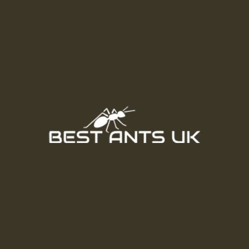 Ant farms and ant nests for sale
