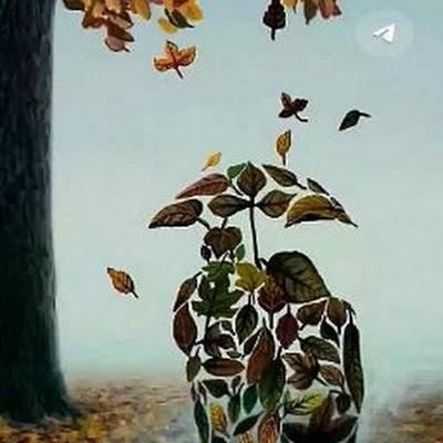 امید روشندل