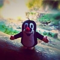 Angéla Camilotti Mallet