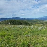 Anne McCormick Hocine