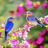 Affordable medical treatments