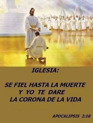 ALEJANDRO MANTILLA A