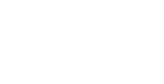stakegiristr