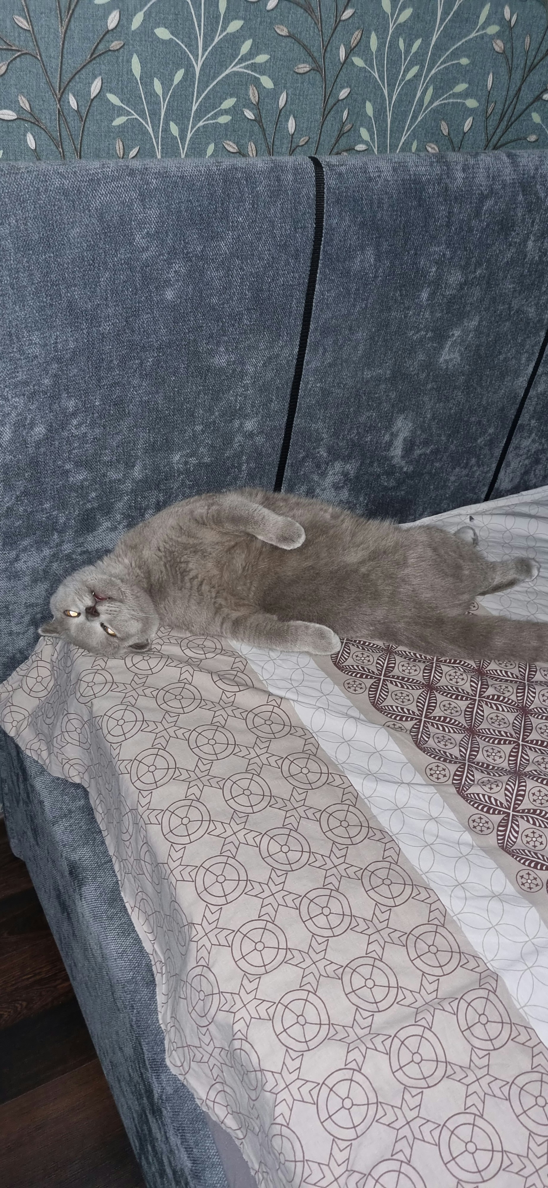 Филипп Овчинников