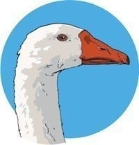 Алим Макаров