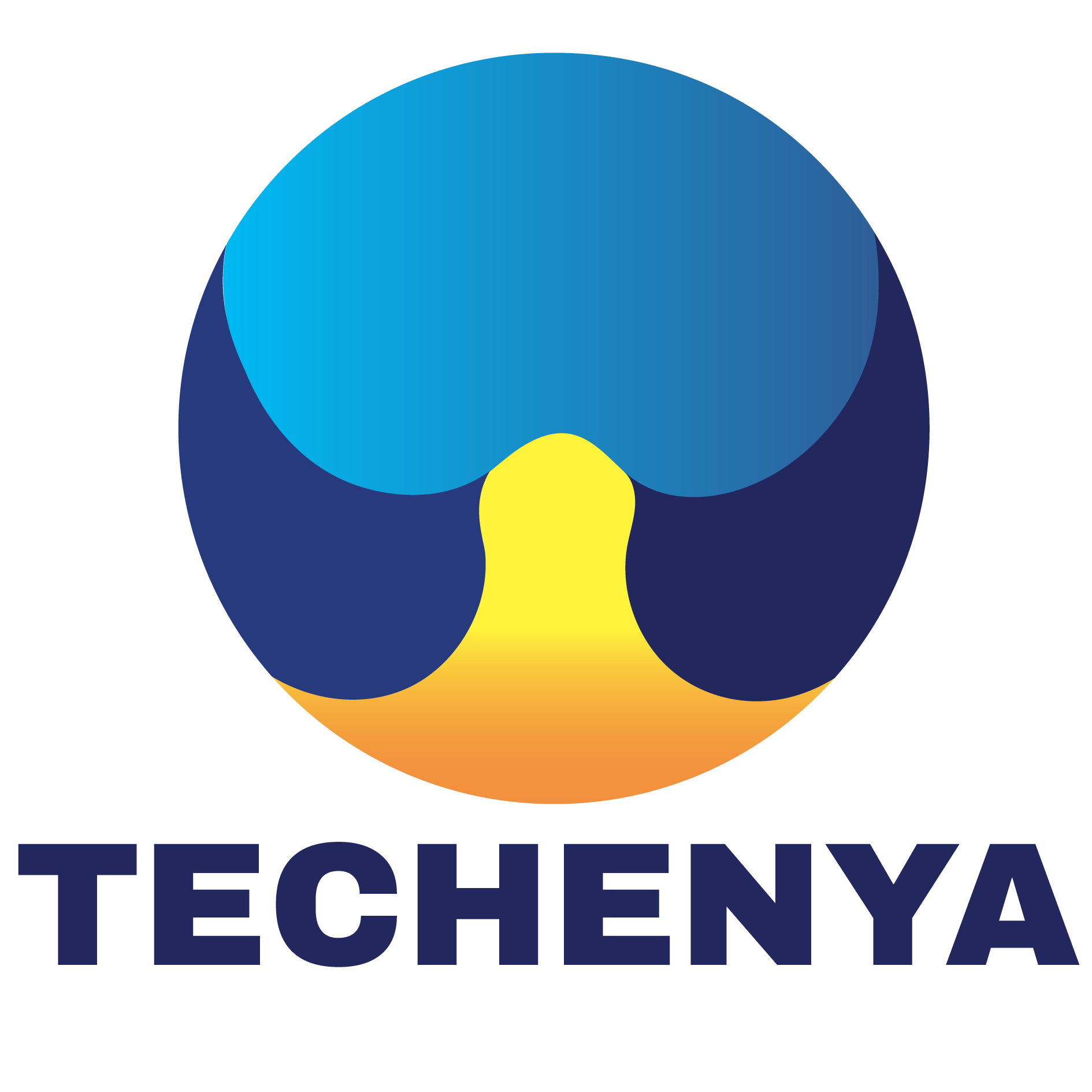 TECHenya Solutions