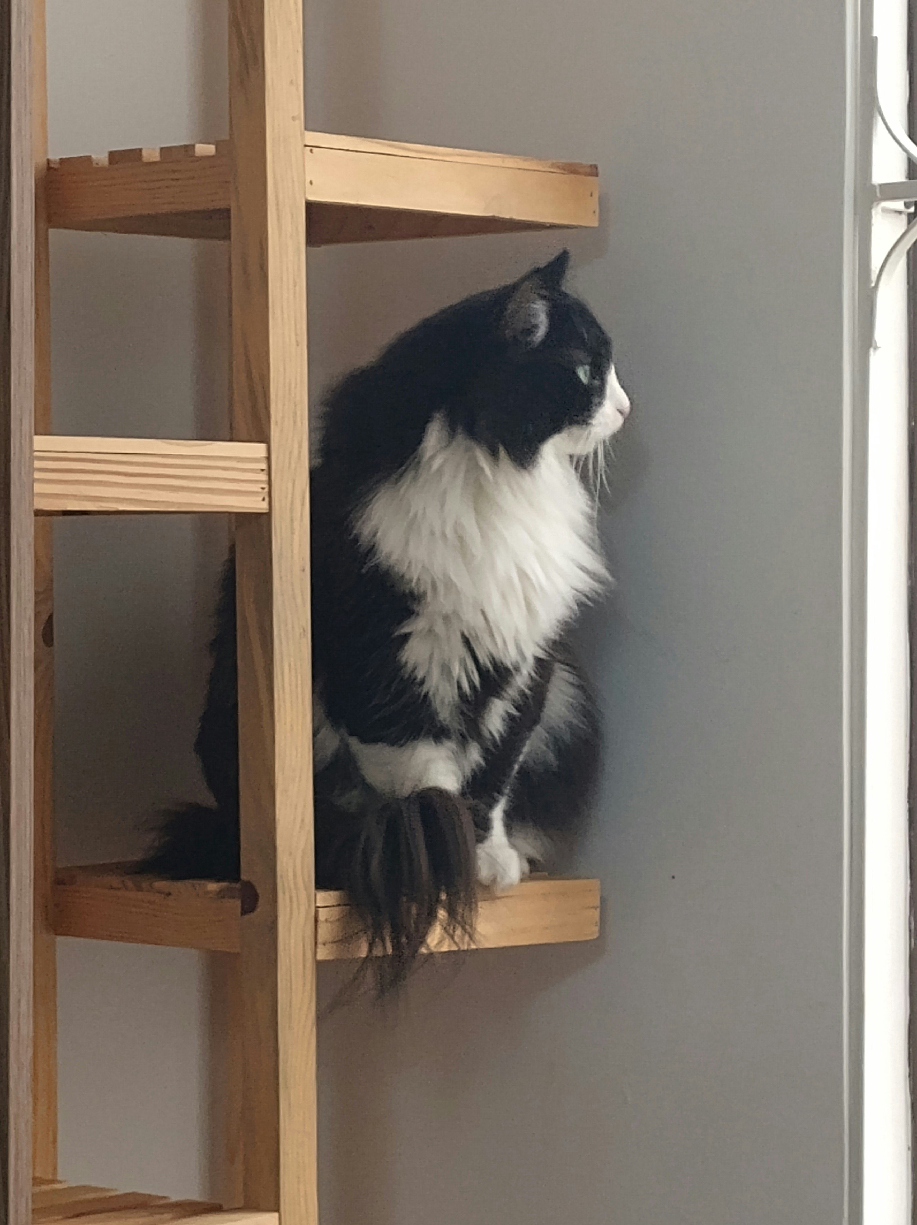 Mónica Alexandra Sánchez Gómez