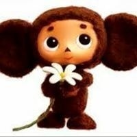 Igorini Incomparable