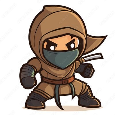 Acemi Ninja