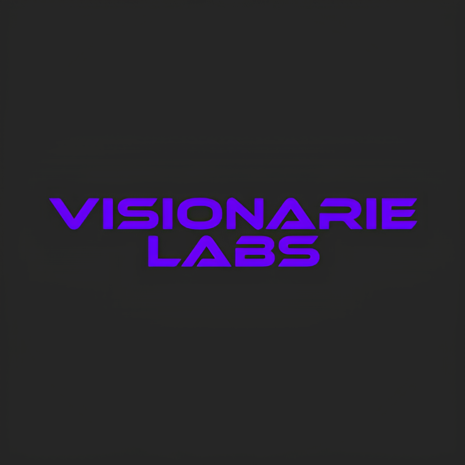 Visionarie Labs Technology Services