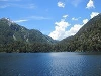 Paola Carvajal Moreno