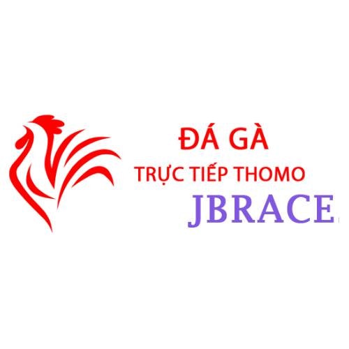Đá Gà Trực Tiếp Thomo Hôm Nay