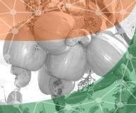 Pagandai V Pannirselvam