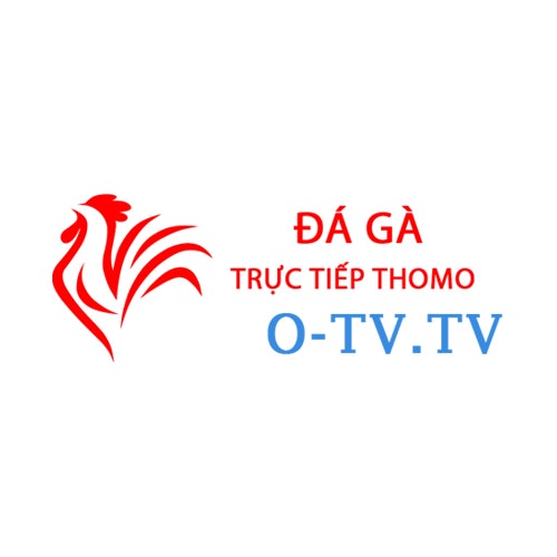 Đá gà Trực tiếp