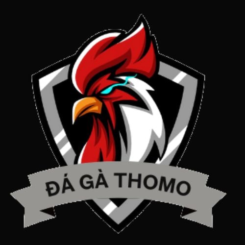 đá gà thomo