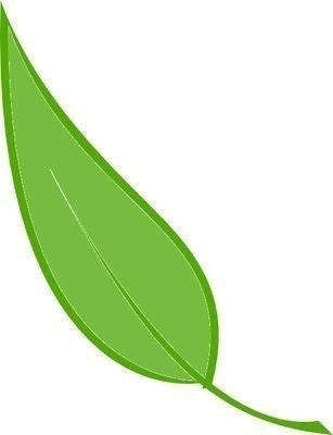 Bare Beauty Naturals