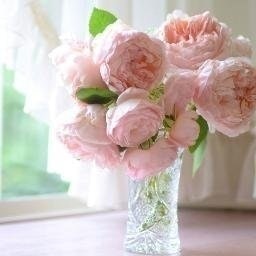 Елизавета В.