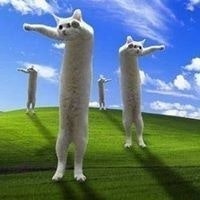 Сергей Шумилов