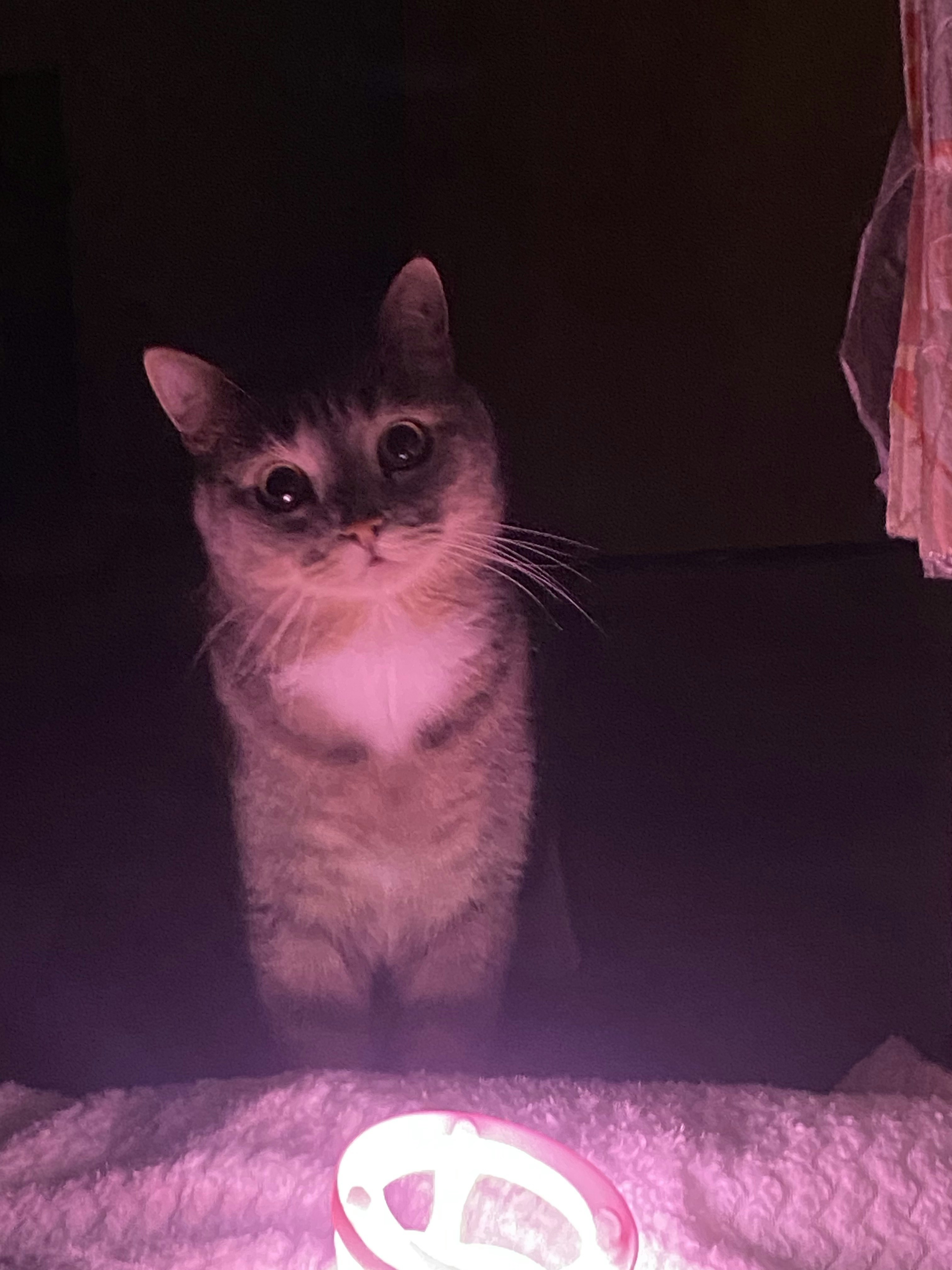 Евгений Вдовин