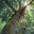 megabits