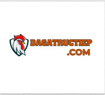 Đá gà trực tiếp