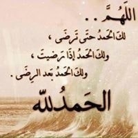 فيصل بن حامد