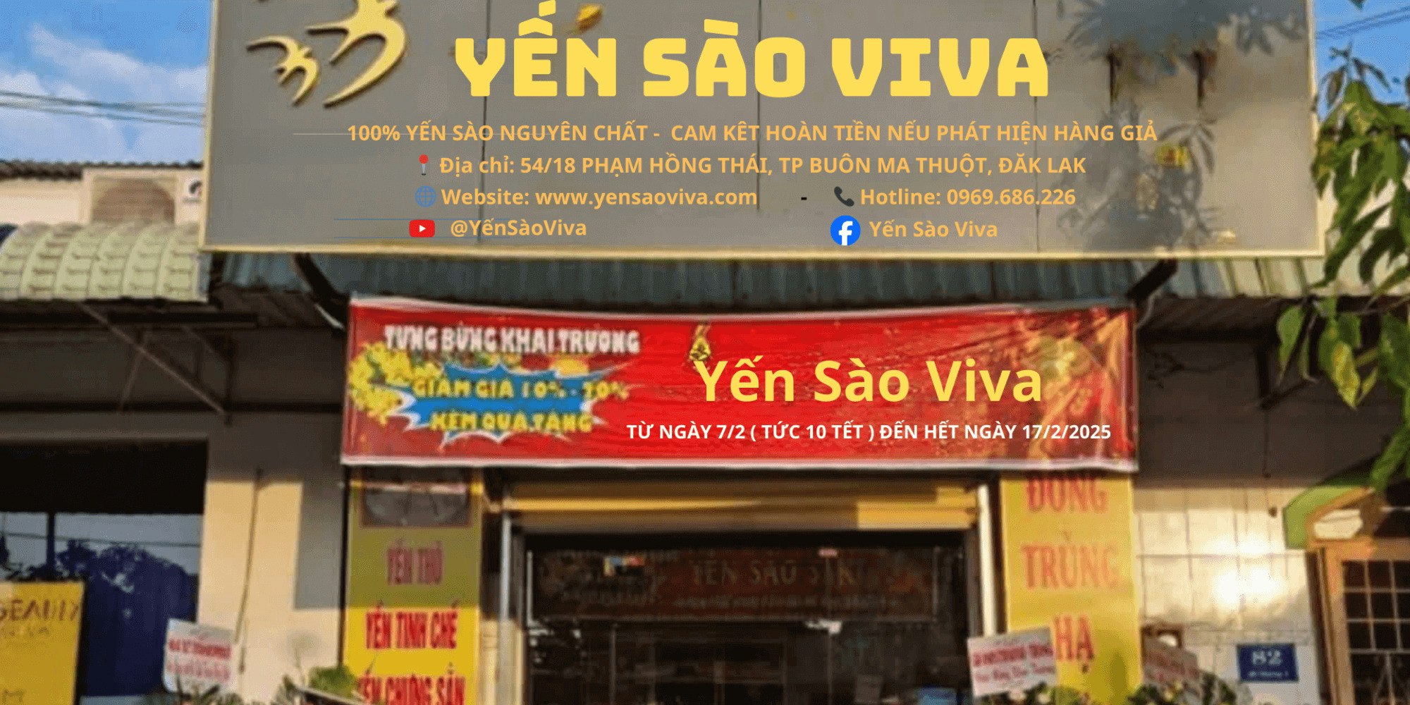 yến sào viva