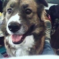 Karen Moore Connelly