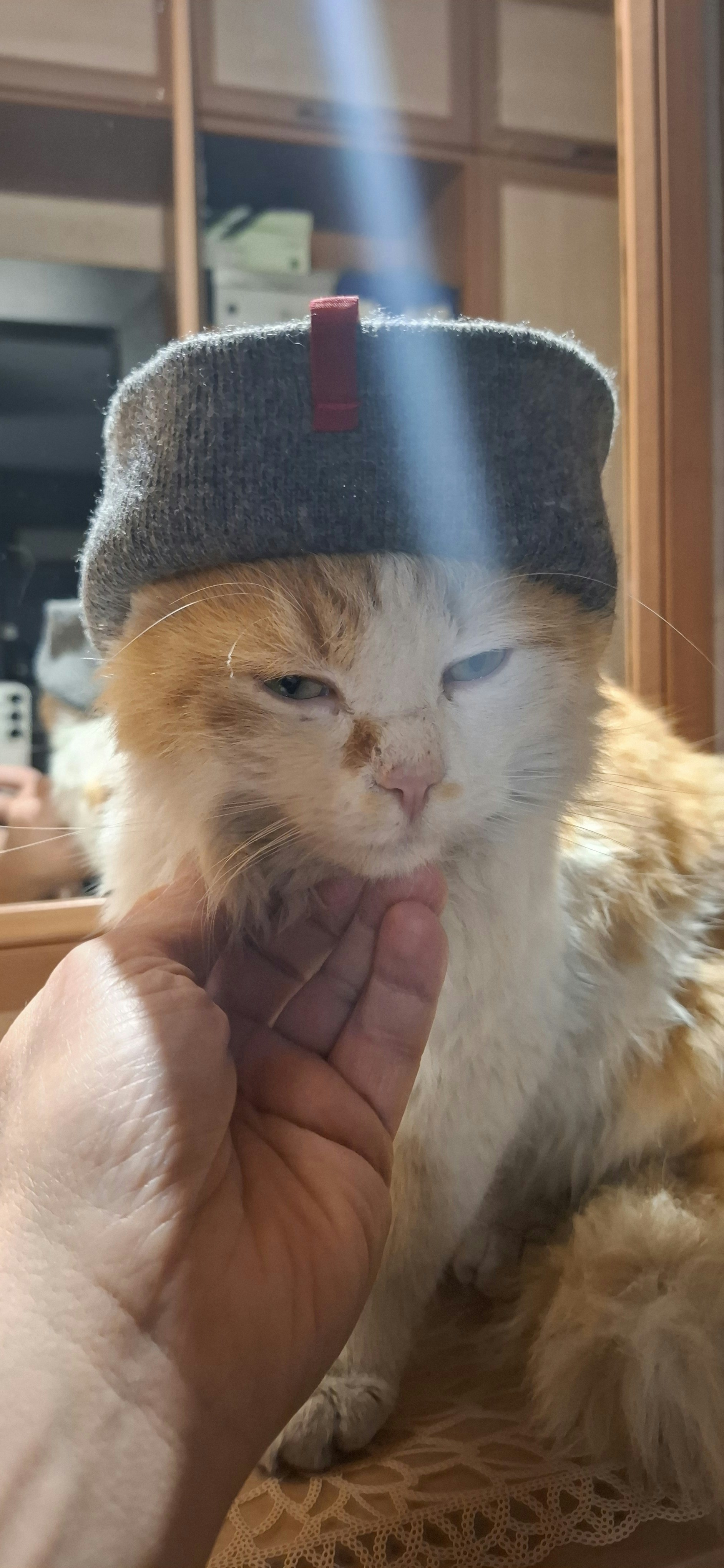 Алексей Чумовицкий