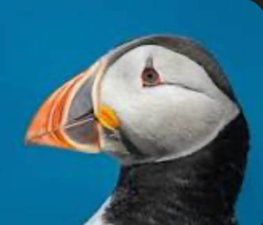 Sigbjorn Gunnarsdottir