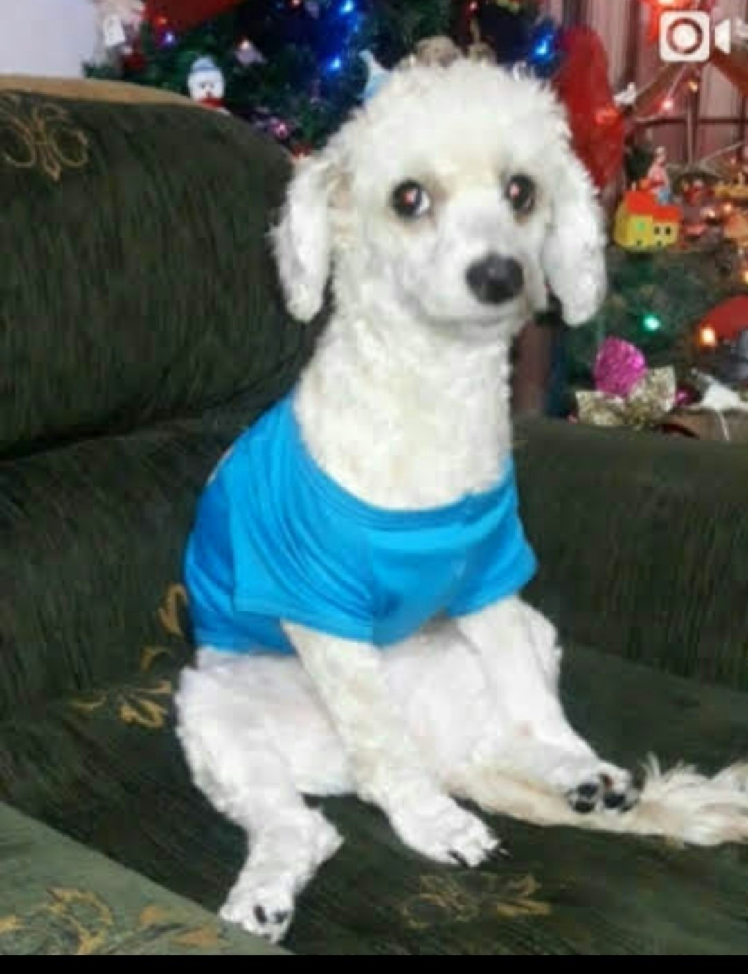 Maritza Castillo Castillo