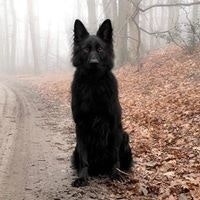 Renaud Loubert-Aledo