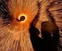 Michaelene Mary Anne Manion