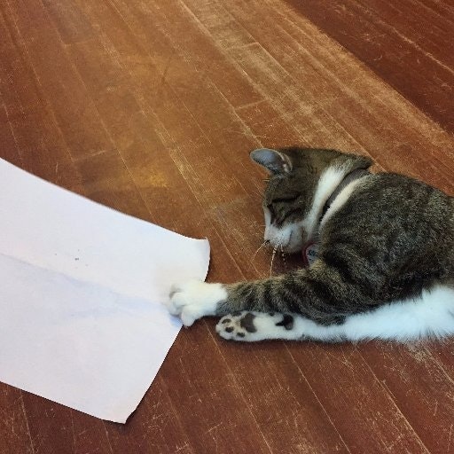 Just a Random Person