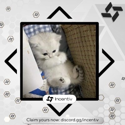 lowserotonin.nad (Ø,G) (✸,✸) ⌘.ink