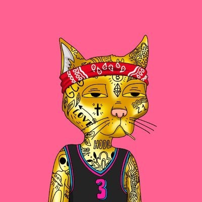 जिज्ञासा 