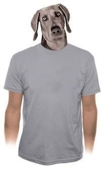 Jean-Sébastien Rolin