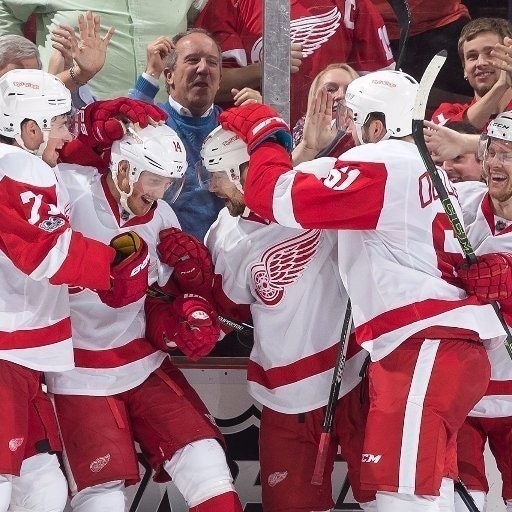 Red Wings (25-29-11)