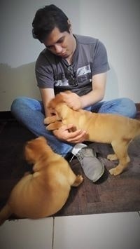 Nestor Plasencia Prado