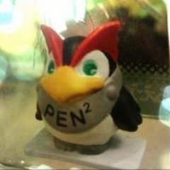 Joan Piedra (ジョアン)