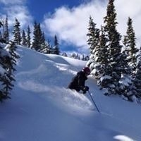 Michelle Kazmier Idle